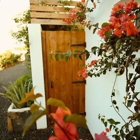 Vitamin Sea לאחארס